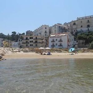 La Scogliera